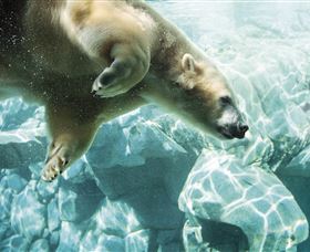 Australia's Sea World - New South Wales Tourism  0