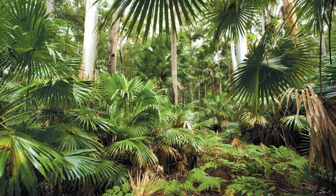 Wallingat National Park - New South Wales Tourism  3