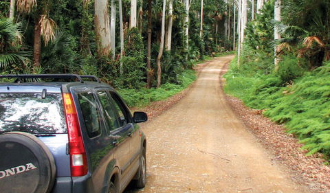 Wallingat National Park - New South Wales Tourism  2