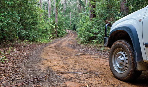 Ulidarra National Park - New South Wales Tourism  2