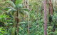 Ulidarra National Park - thumb 3