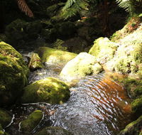 South East Forests National Park - New South Wales Tourism 