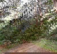 End Peak walking track - New South Wales Tourism 