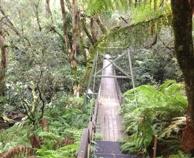 Bellbird Creek ACT New South Wales Tourism 
