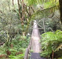 Bemm River Scenic Reserve - New South Wales Tourism 