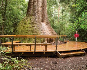 Herons Creek NSW New South Wales Tourism 