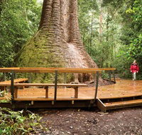 Burrawan State Forest - New South Wales Tourism 