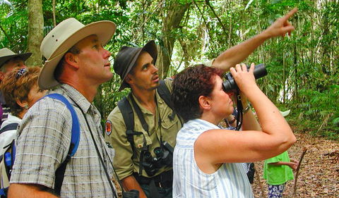 Falls Walking Track - New South Wales Tourism  0