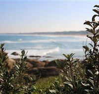Cape Conran Coastal Park - New South Wales Tourism 