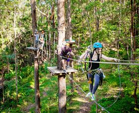 TreeTop Challenge Currumbin - New South Wales Tourism  1