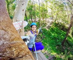 TreeTop Challenge Currumbin - New South Wales Tourism  3