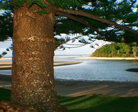 Moonee Beach - New South Wales Tourism  1