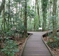Victoria Park boardwalk - New South Wales Tourism 