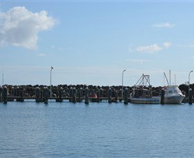 Club Harrington - New South Wales Tourism  2