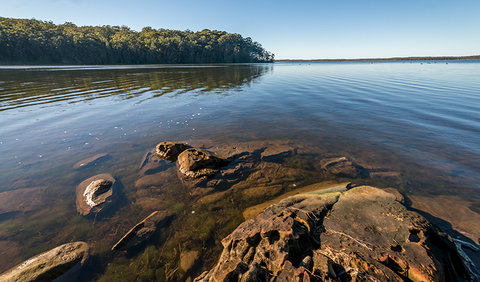 Queens Lake Nature Reserve - New South Wales Tourism  0