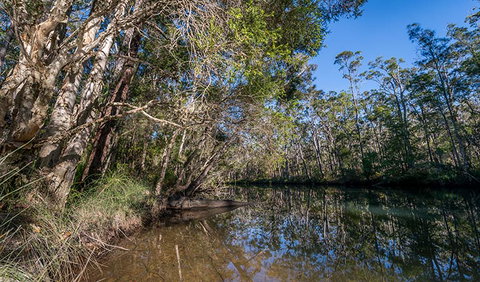 Queens Lake Nature Reserve - New South Wales Tourism  3