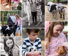 Roses Vineyard And Animal Farm - New South Wales Tourism  1