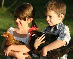 Summerland House Farm - House With No Steps - New South Wales Tourism  2