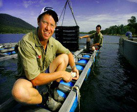 Armstrong Oysters - New South Wales Tourism  0