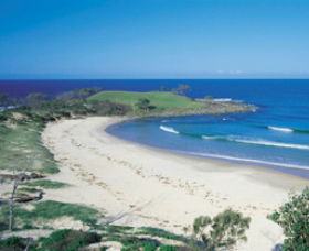Angourie Beach - New South Wales Tourism  1