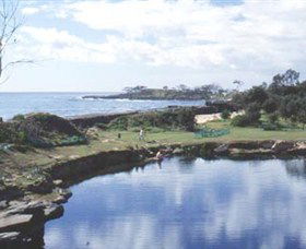 Angourie Blue Pool - New South Wales Tourism  1