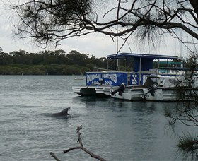 Dunbogan Boatshed - New South Wales Tourism  2