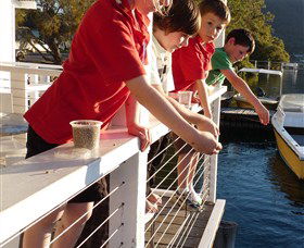 Dunbogan Boatshed - New South Wales Tourism  3