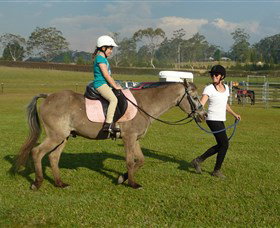 Port Macquarie Horse Riding Centre - New South Wales Tourism  0
