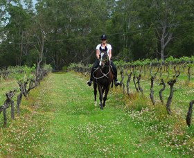 Port Macquarie Horse Riding Centre - New South Wales Tourism  1