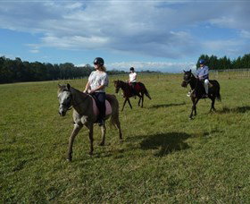 Port Macquarie Horse Riding Centre - New South Wales Tourism  5
