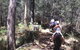 Port Macquarie Horse Riding Centre - thumb 4