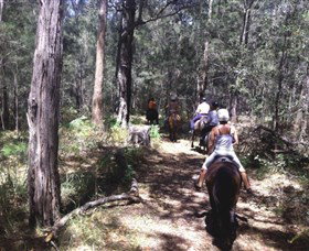 Port Macquarie Horse Riding Centre - New South Wales Tourism  4