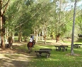 Port Macquarie Horse Riding Centre - New South Wales Tourism  6
