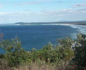 Delicate Beach - New South Wales Tourism  0