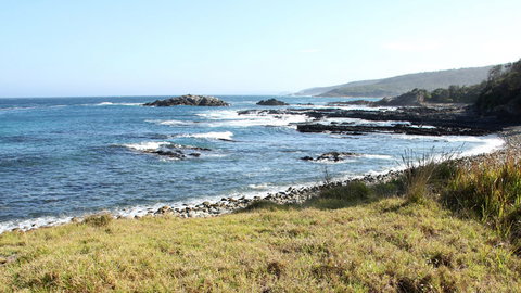 Mimosa Rocks National Park - New South Wales Tourism  0