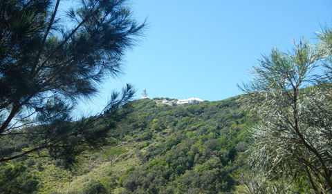 Jack Perkins Walking Track - New South Wales Tourism  3