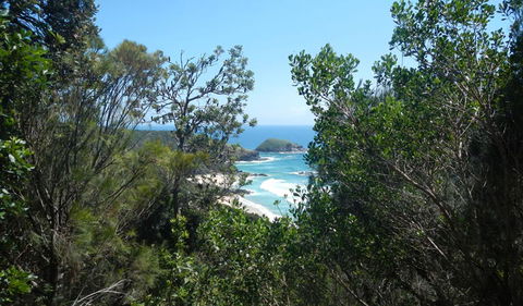 Jack Perkins Walking Track - New South Wales Tourism  1
