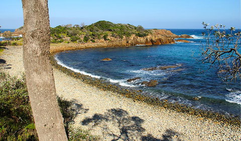 Mimosa Rocks Walking Track - New South Wales Tourism  2