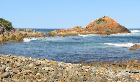 Mimosa Rocks Walking Track - New South Wales Tourism  3