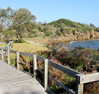 Mimosa Rocks walking track - New South Wales Tourism 