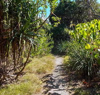 North Head walking track - New South Wales Tourism 