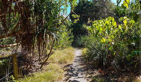 North Head Walking Track - New South Wales Tourism  0