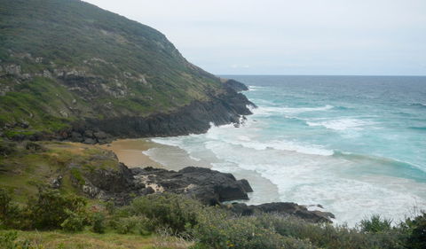 Connors Walking Track - New South Wales Tourism  0