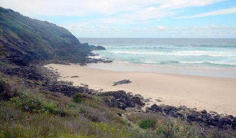 Connors Walking Track - New South Wales Tourism  1