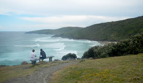Connors Walking Track - New South Wales Tourism  3
