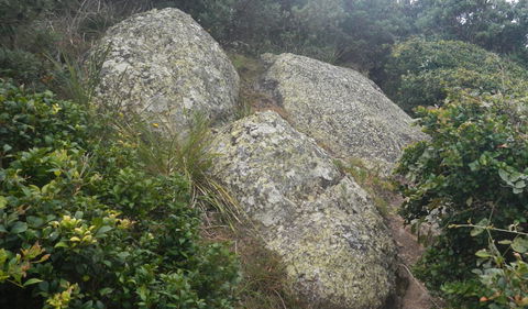 Korogoro Walking Track - New South Wales Tourism  2
