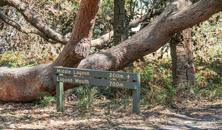 Greendale NSW New South Wales Tourism