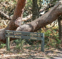 Middle Lagoon walking track - New South Wales Tourism 