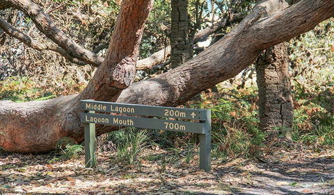 Middle Lagoon Walking Track - New South Wales Tourism  0