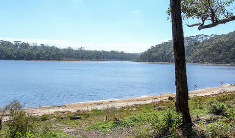 Middle Lagoon Walking Track - New South Wales Tourism  1